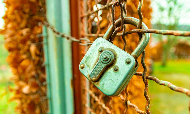 wordpress wont let me log in