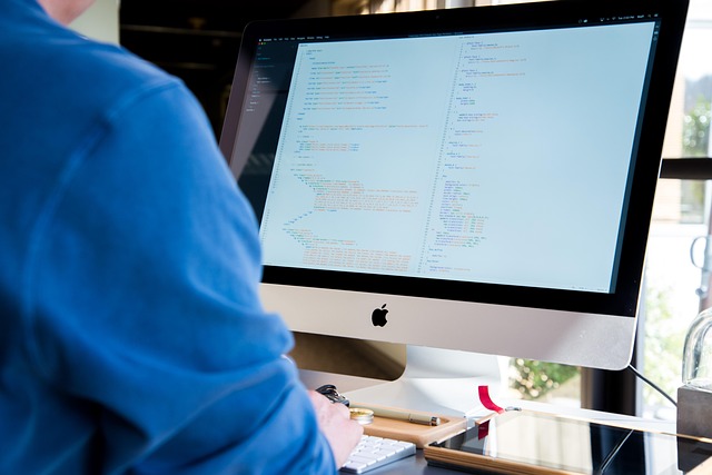 Cost Of Wordpress Developer