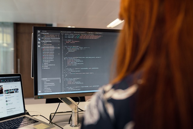 Find a Wordpress Developer