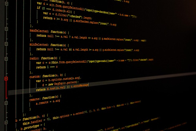 Find a WordPress Developer
