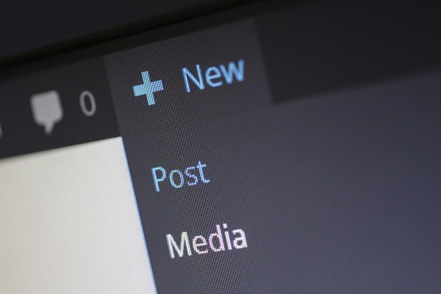 Is WordPress Still Popular