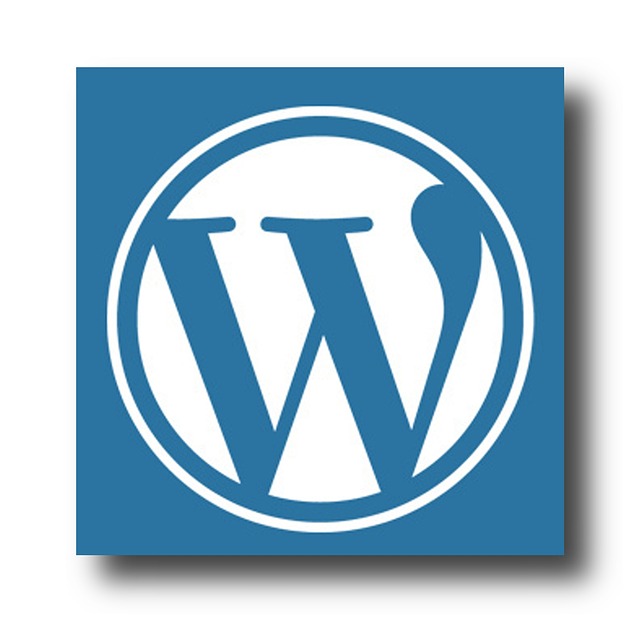 Why Is WordPress So Expensive